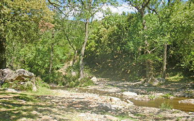 Riera Castanyers - Espolla